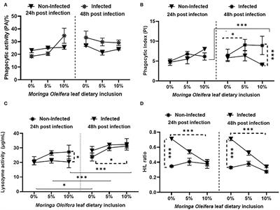 Moringa oleifera Leaf Powder Dietary Inclusion Differentially Modulates the Antioxidant, Inflammatory, and Histopathological Responses of Normal and Aeromonas hydrophila-Infected Mono-Sex Nile Tilapia (Oreochromis niloticus)